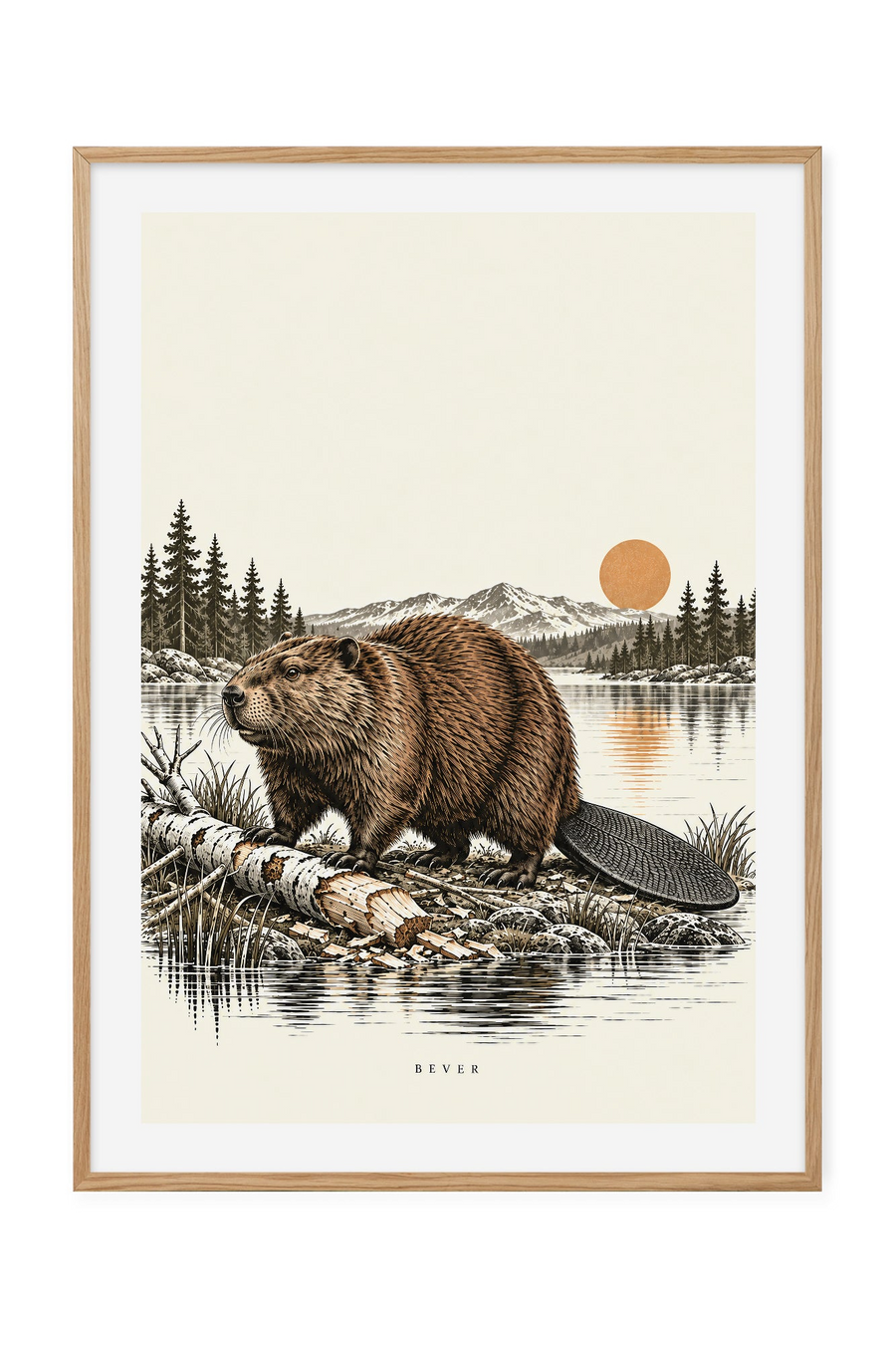 Bever – Ved bjørkestammen