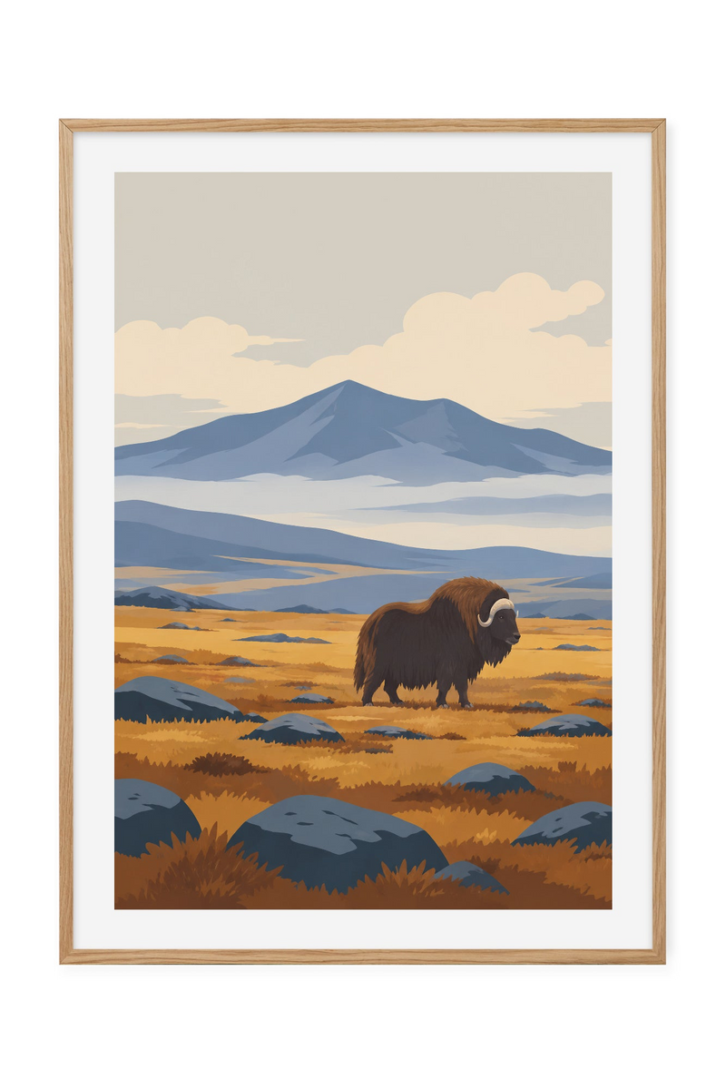 Dovrefjell – Moskus på vidda
